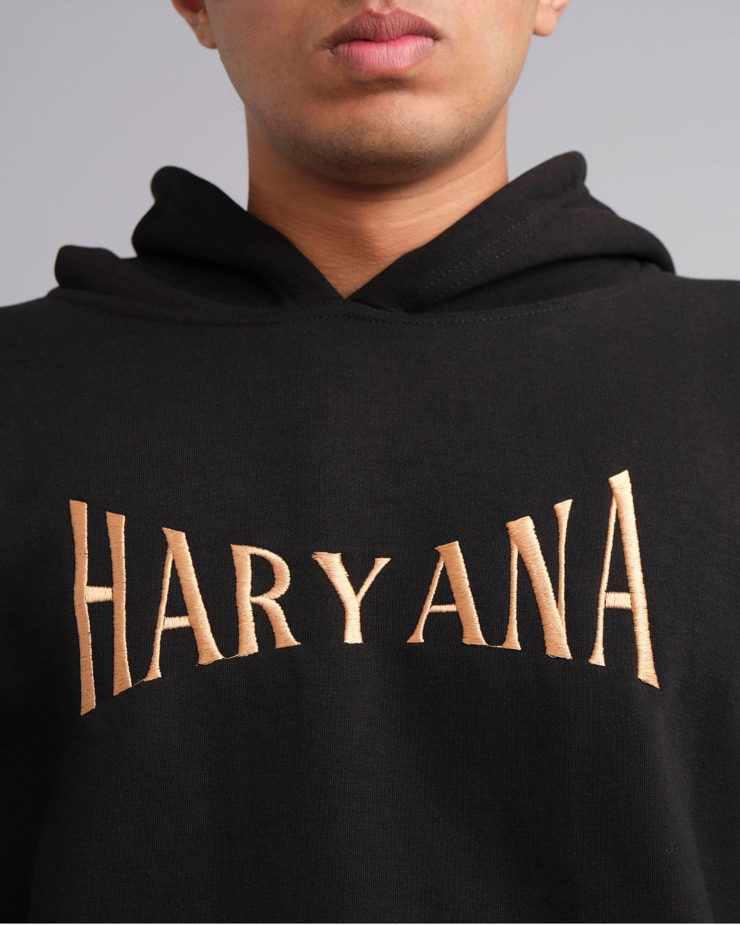 Haryana Embroidered Hoodie